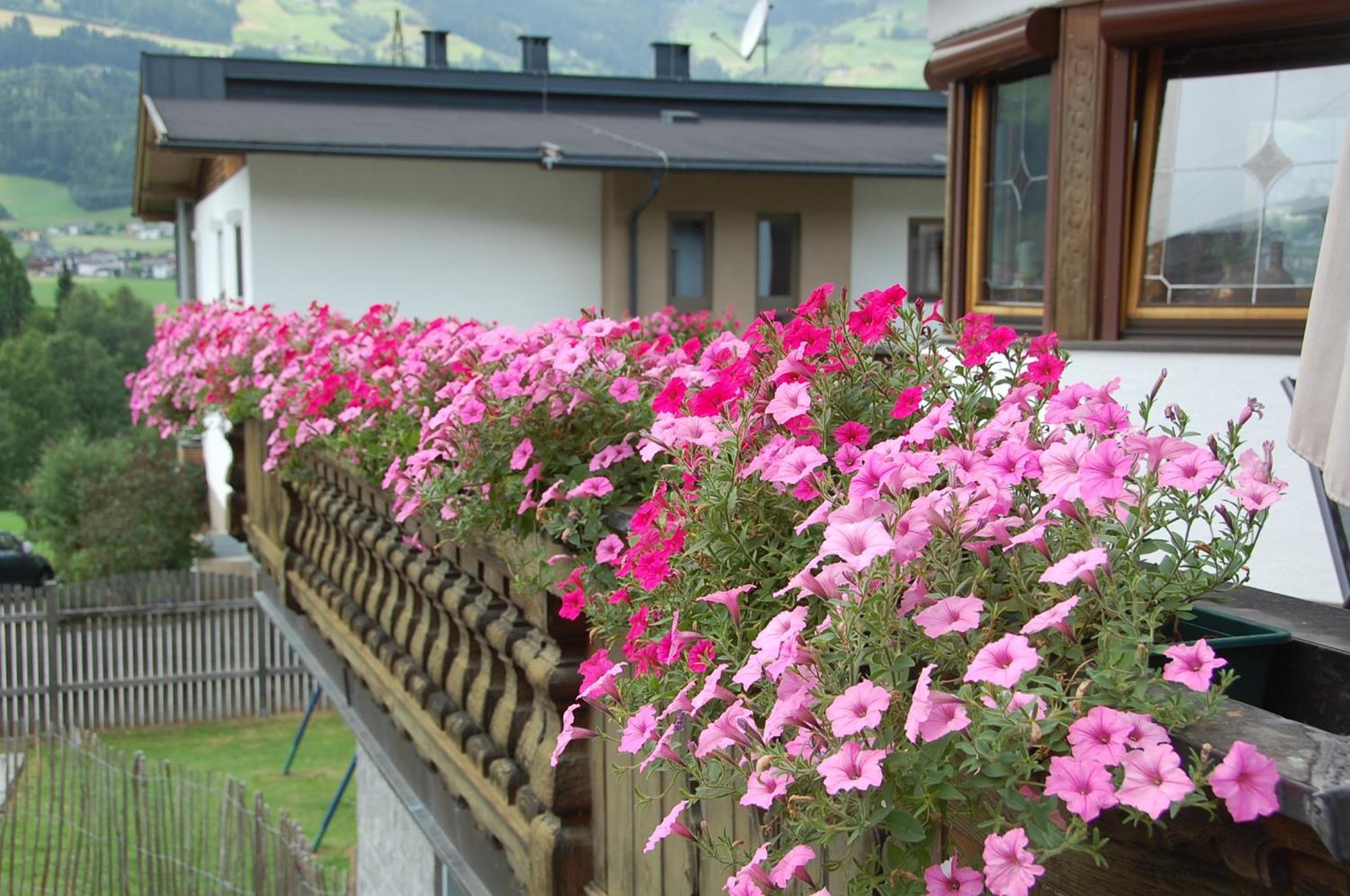 Haus Hart Im Zillertal 6 Personen Villa Dış mekan fotoğraf